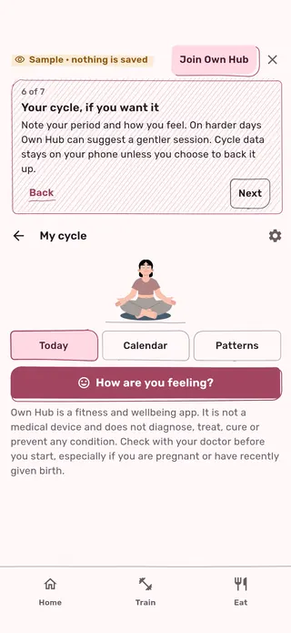My cycle in the tour: how are you feeling, with today, calendar and patterns.